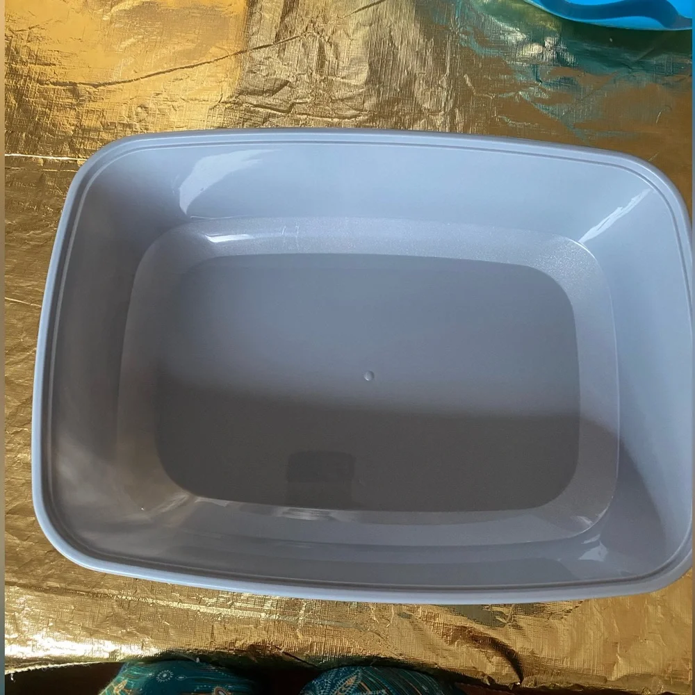 Kitten litter box By Sophresh